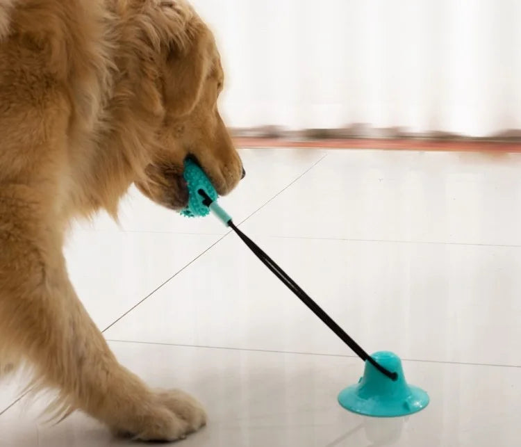 Dog Suction Cup Toy