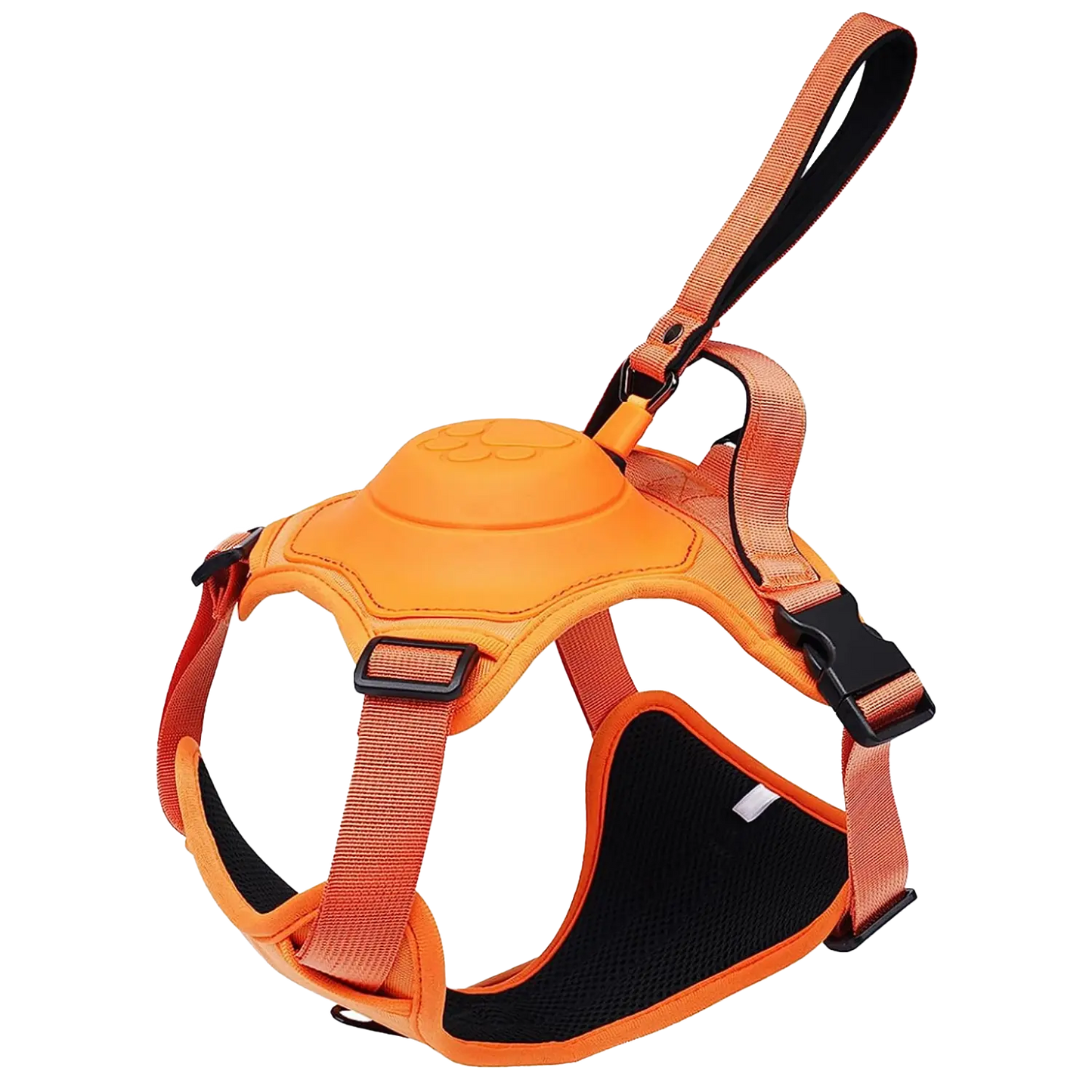 Dog Harness And Retractable Leash